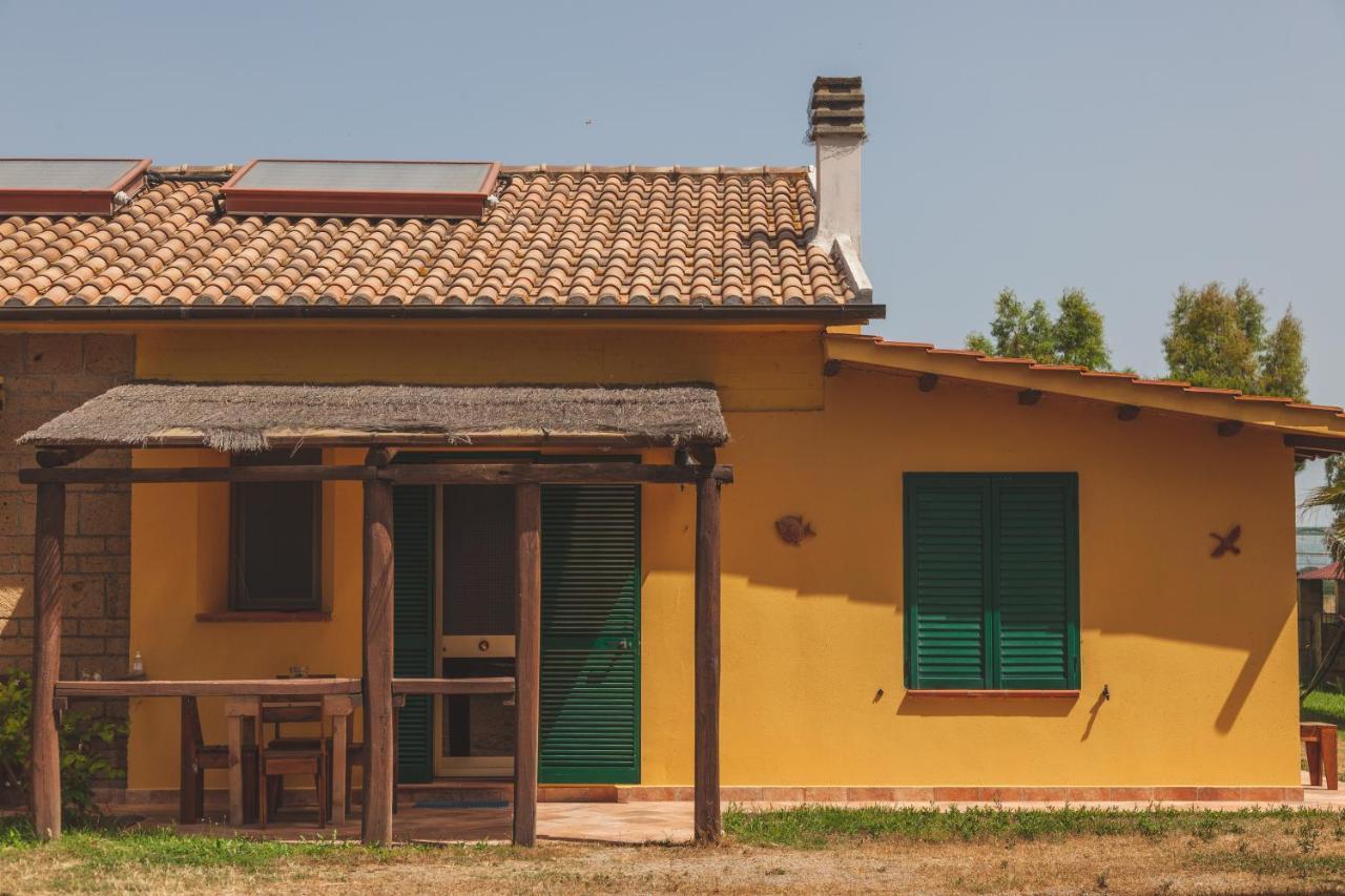 Agriturismo Albarosa-Terre Dell'Amore Марина ди Гросето Екстериор снимка