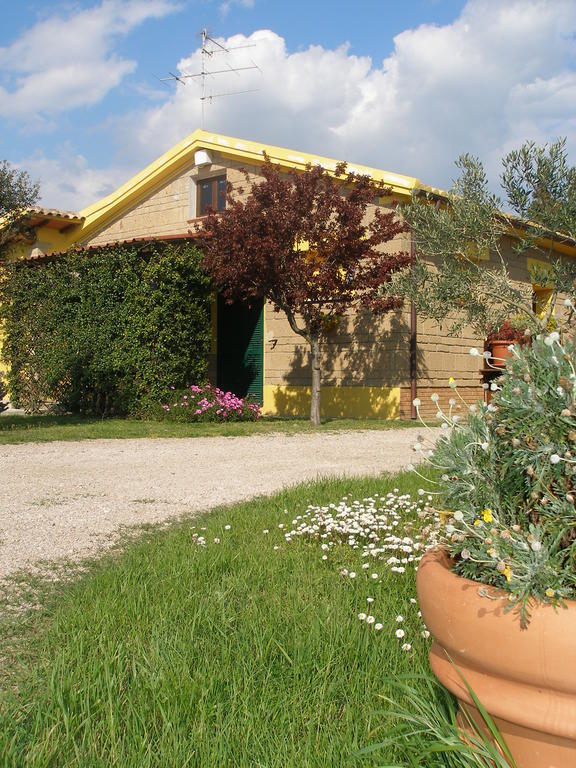 Agriturismo Albarosa-Terre Dell'Amore Марина ди Гросето Стая снимка